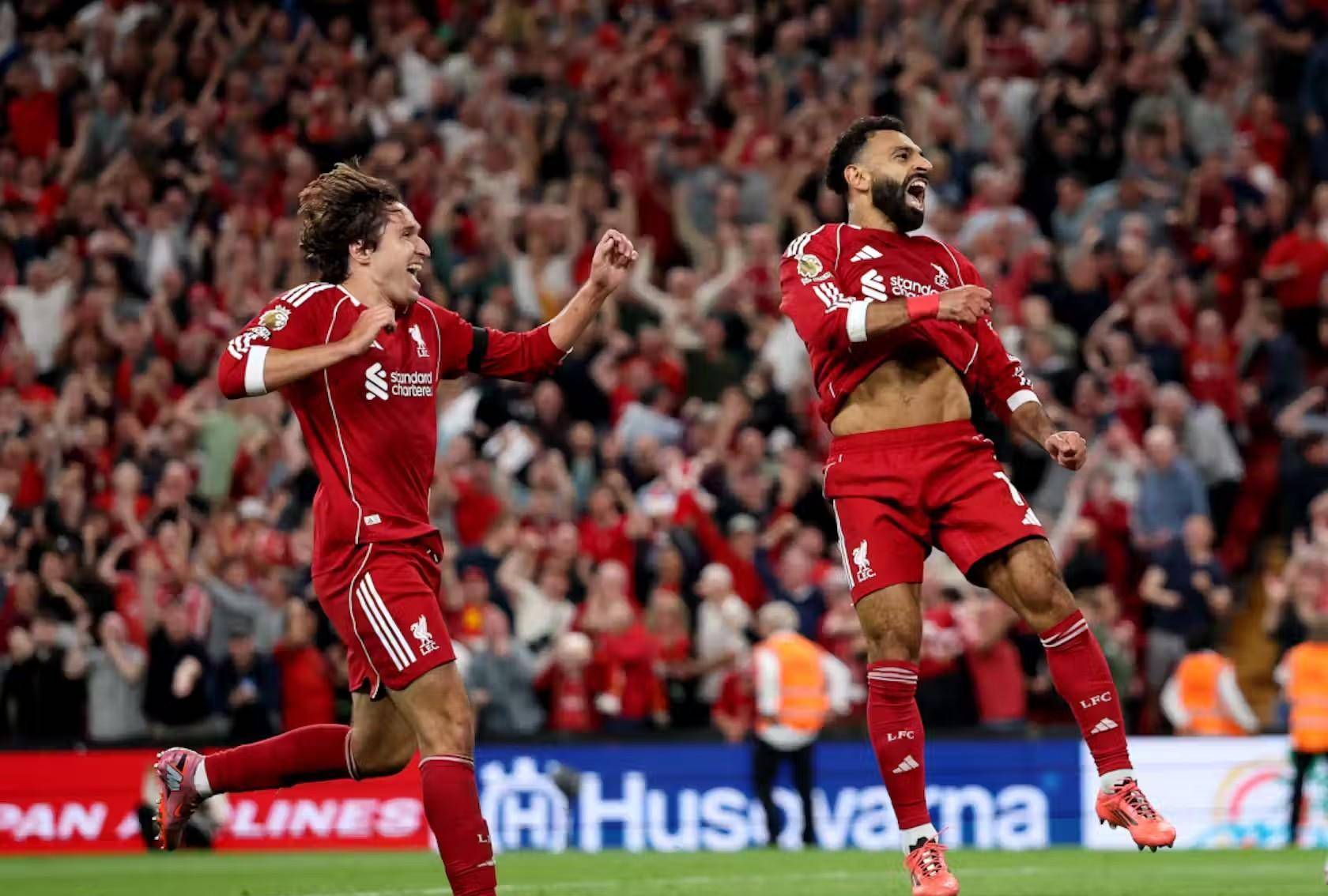 支具有强大 支具有强大