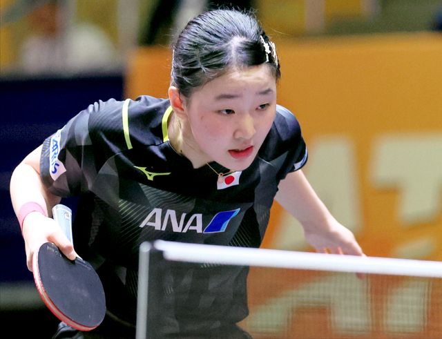 安特托昆博 安特托昆博