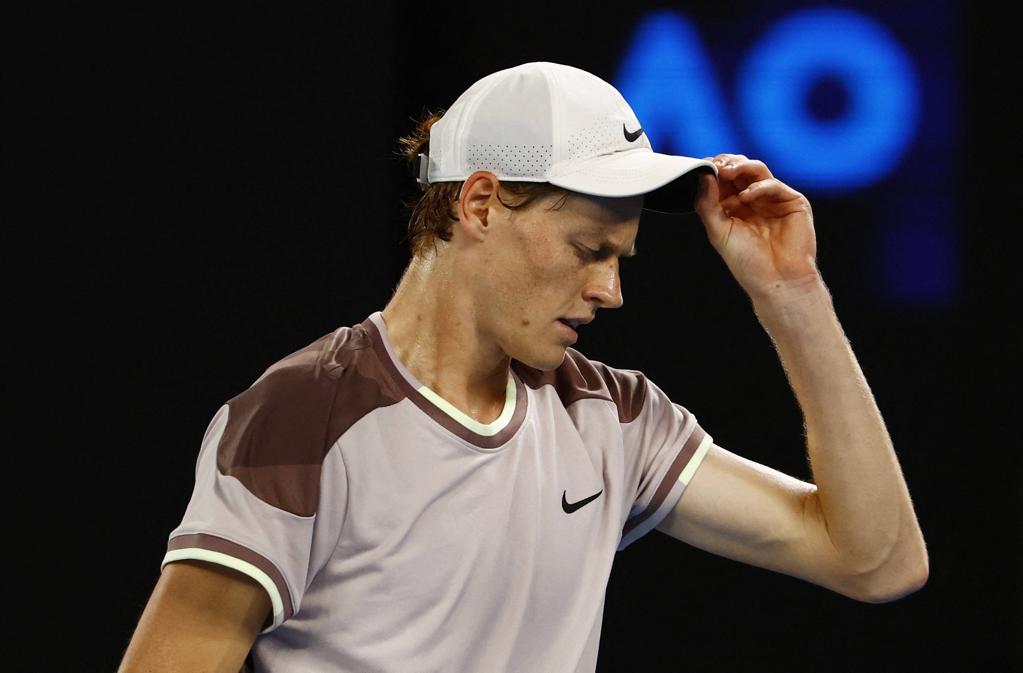 了其独特的 了其独特的