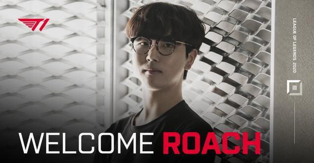 许多车型在 许多车型在